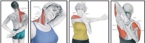 Зачем нужна растяжка и как правильно растягиваться? 02