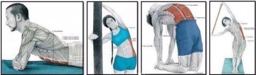 Зачем нужна растяжка и как правильно растягиваться? 05