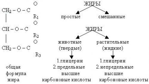 Жиры: свойства, функции, рекомендации по употреблению. 01 Жиры: свойства, функции, рекомендации по употреблению. 01