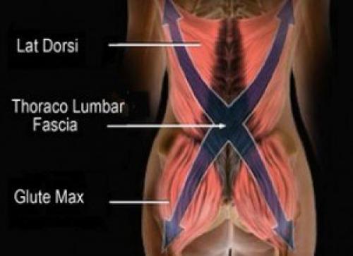 Как люди свои спины в спортзале убивают. 01