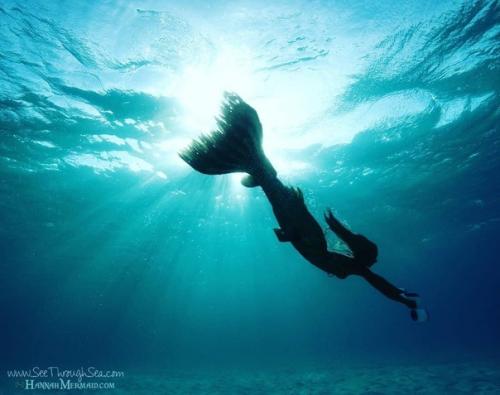 35-Летняя Ханна фрейзер работает русалкой в аквариуме города Сиднея. 04