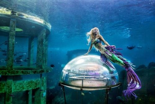 Это 35-летняя Ханна фрейзер и она работает русалкой в аквариуме Сиднея в Австралии. 07