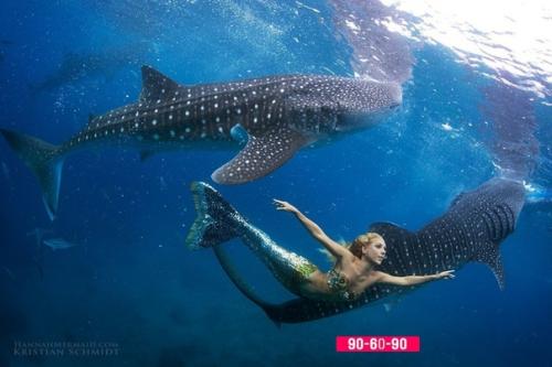 Это 35-летняя Ханна фрейзер и она работает русалкой в аквариуме Сиднея в Австралии. 03