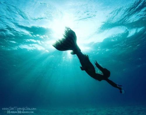 Это 35-летняя Ханна фрейзер и она работает русалкой в аквариуме Сиднея в Австралии. 05