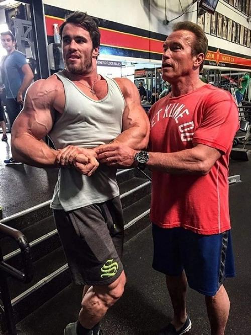 Арнольд знает, как нужно правильно позировать. 02