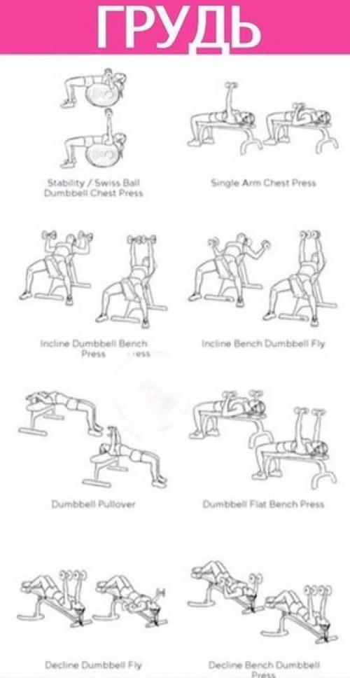 Прокачка всего тела в картинках. 06