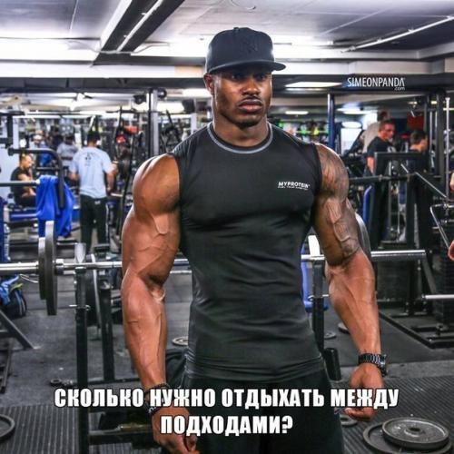 Сколько нужно отдыхать между подходами?